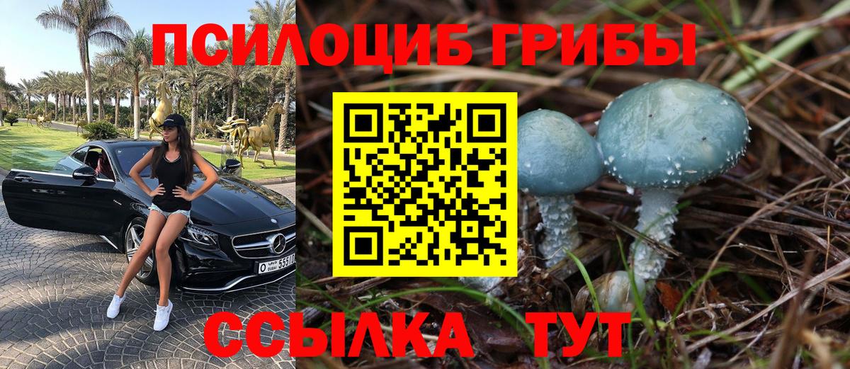 Муром  Псилоцибиновые грибы Magic Shrooms  Вход с VPN  Галлюциногенные грибы Psilocybine cubensis 