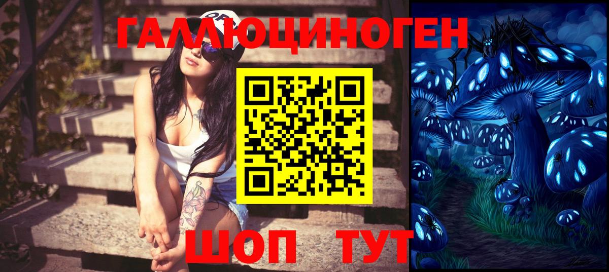 Псилоцибиновые грибы Psilocybe Муром