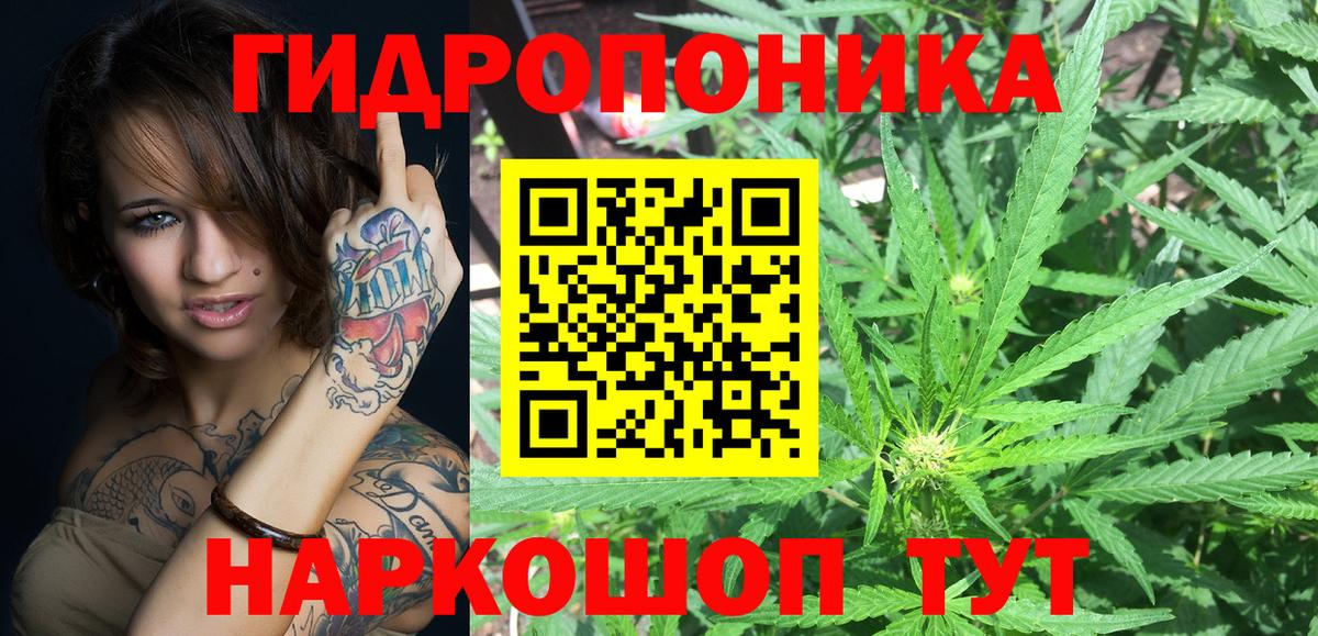 Муром  Шишки марихуана семена  Вход с VPN  Конопля ГИДРОПОН 